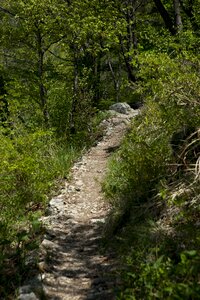 Gil mountain trail tracking