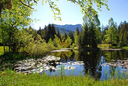 Landscape silent waters biotope