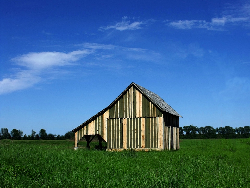 Rural landscape blue
