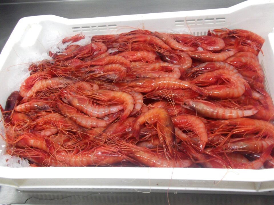 Fresh seafood kitchen