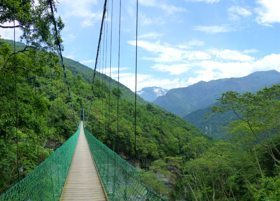 Taiwan jungle mountains