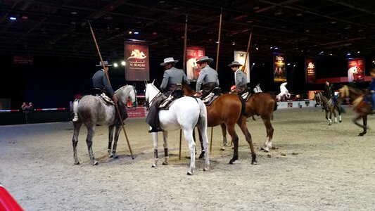 Equestrian show spain