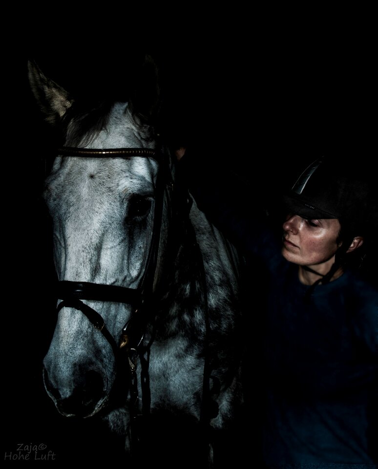 The horse sport jeżdziec