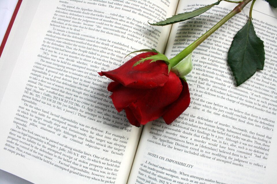 Red words gray book