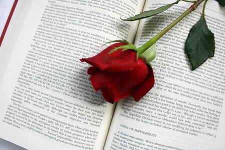 Red words gray book
