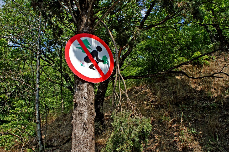 Crimean crimea divorced