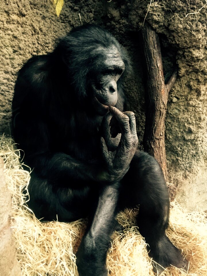 Zoo fun
