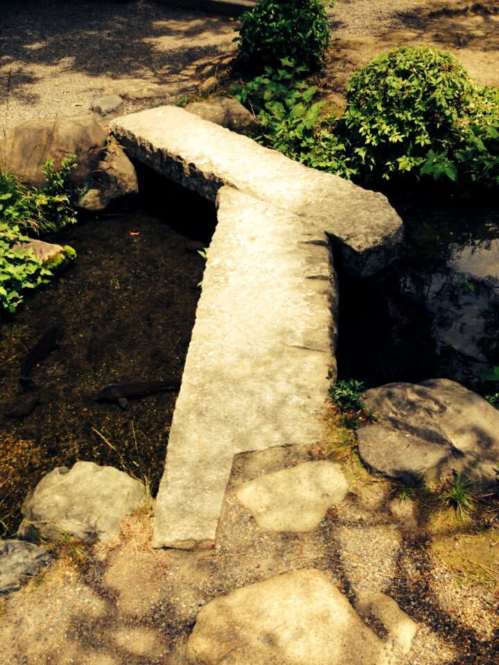 Nature asian garden