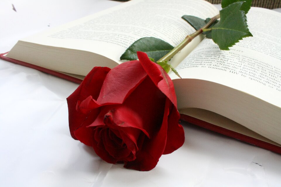 Red words