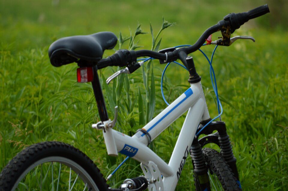 Adventure summer meadow