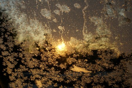 Frozen frosty window