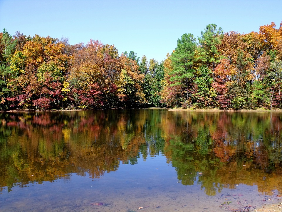 Season reflection water