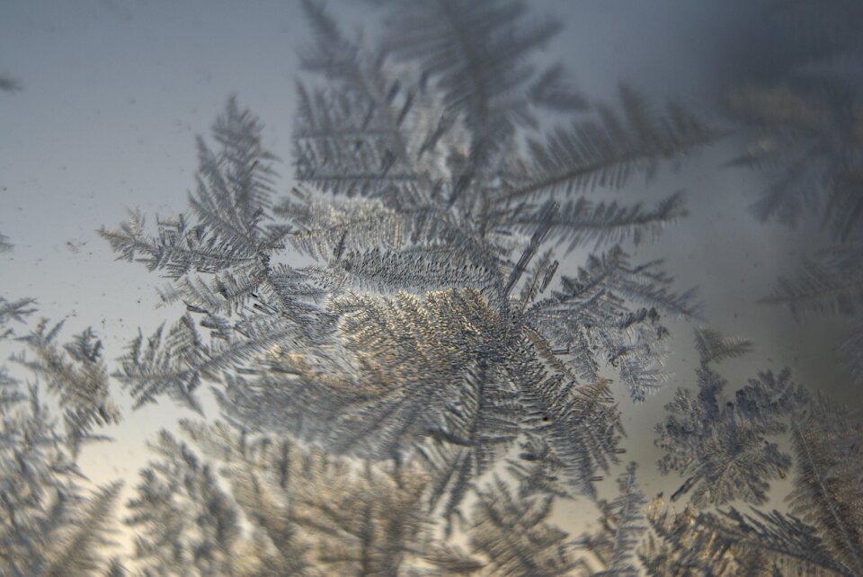 Frozen frosty window