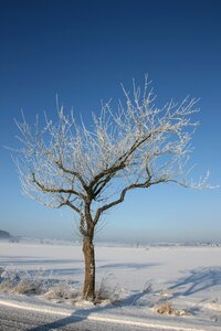 Aesthetic cold blue photo