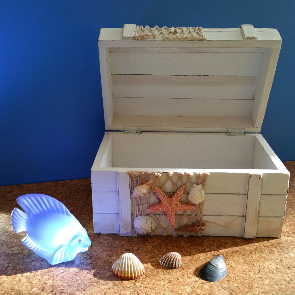 Shell vacations beach