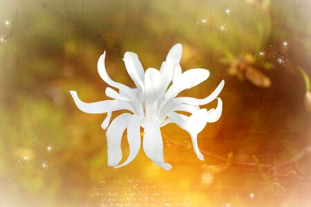 White tender greeting card
