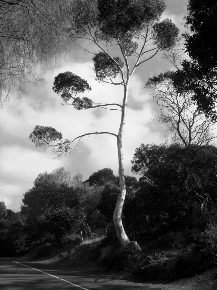Sky nature landscape