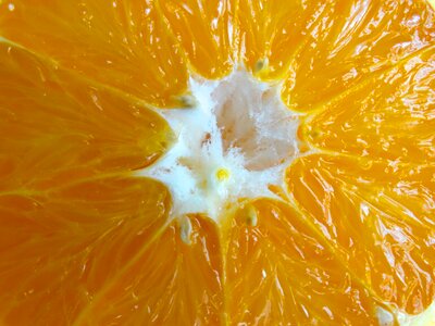 Fruit core fruit fibers nuclear