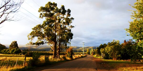 Landscape nature field