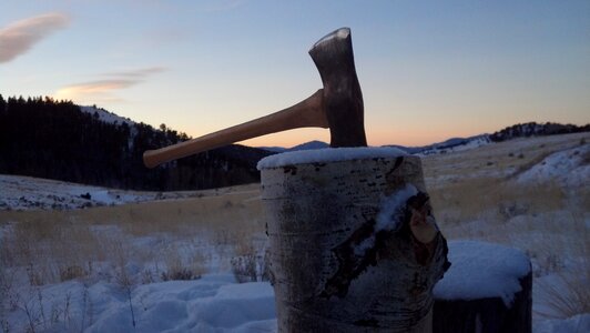 Stump snow dawn photo