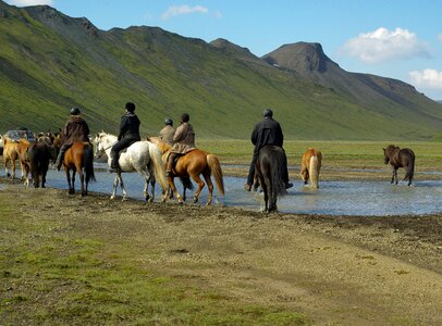 Iceland horses riders photo