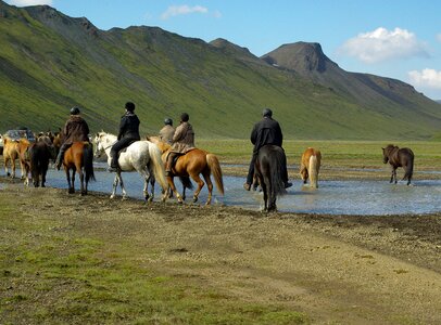 Iceland horses riders