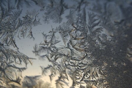 Frozen frosty window