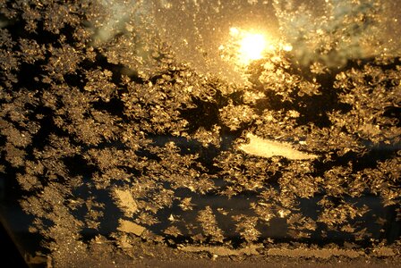 Frozen frosty window photo