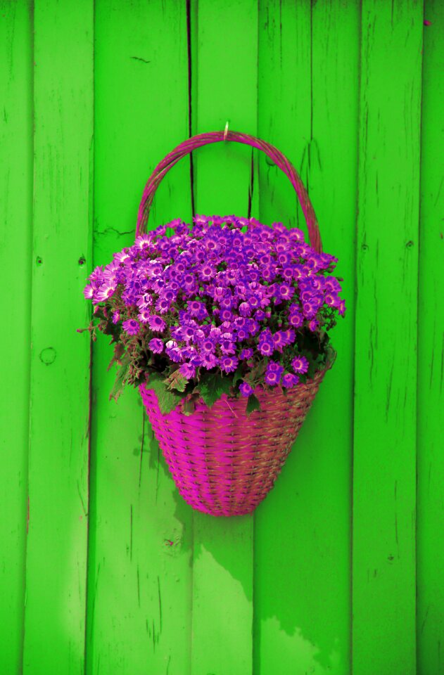 Decoration rustic decorative
