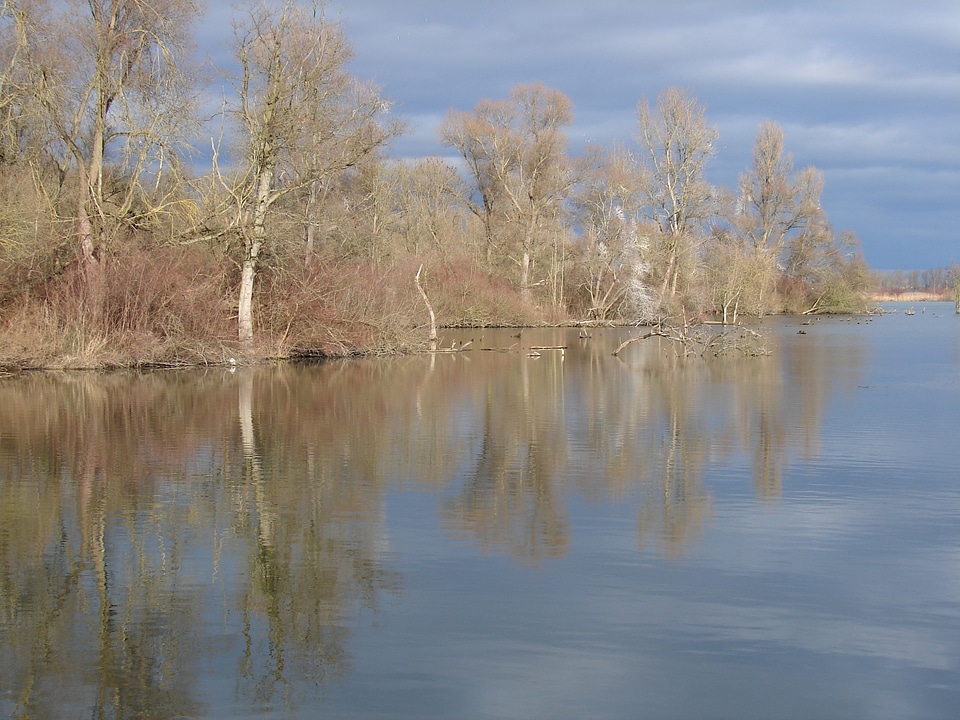 Rhine tauber casting river landscape
