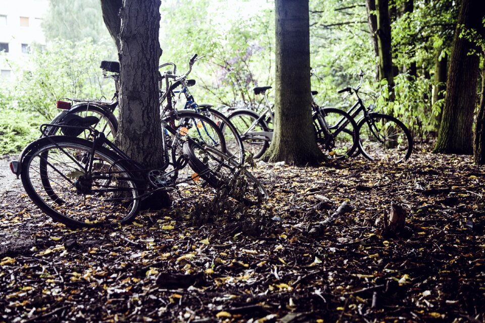 Bicycles meadow shadow