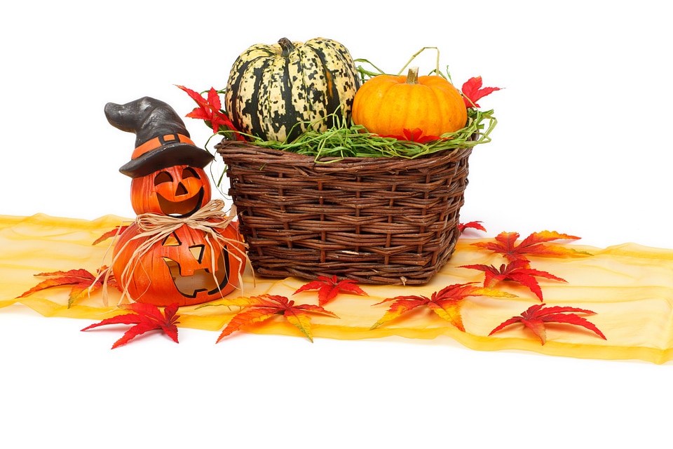 Decoration fall halloween