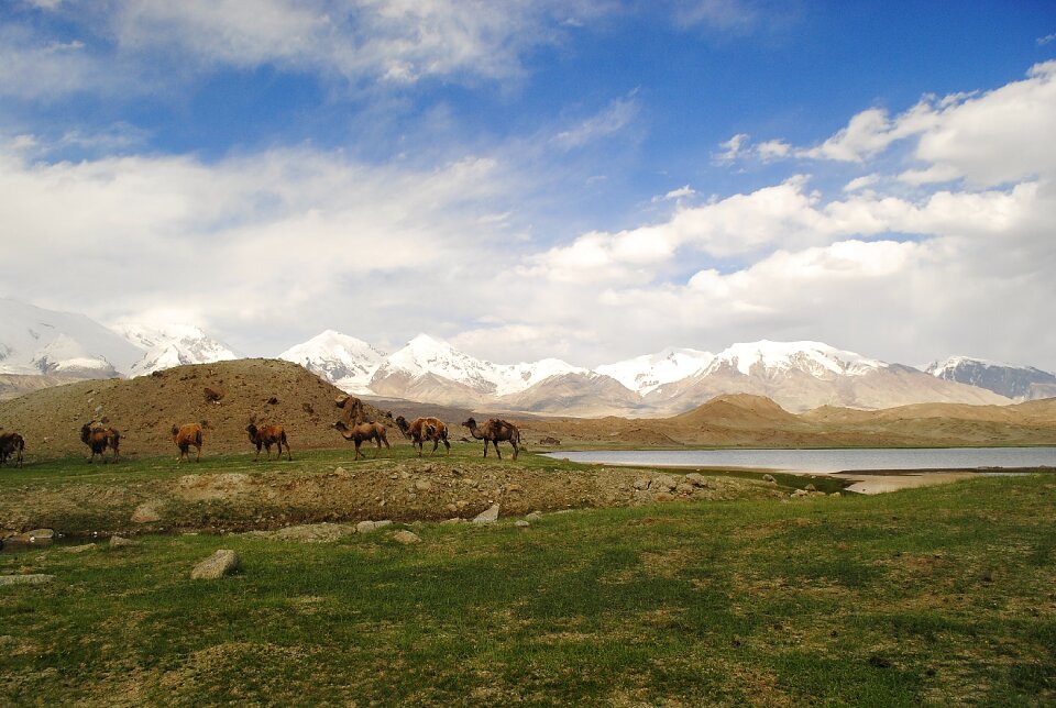 Lake travel nature