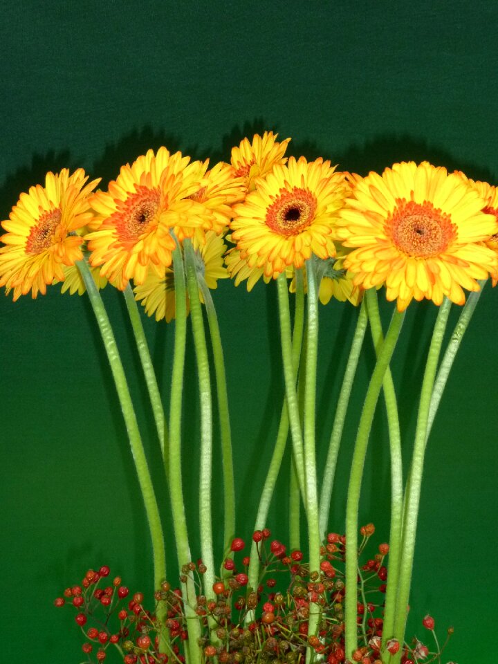 Yellow flower colorful decoration