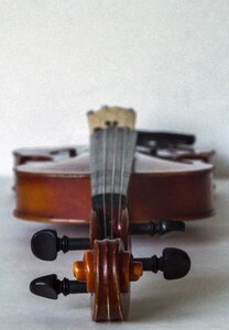 Instrument string classic photo