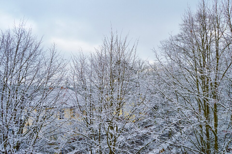 Snowfall berlin germany