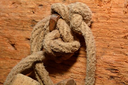 Knot wood natural materials