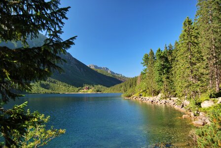 The high tatras lake pine photo