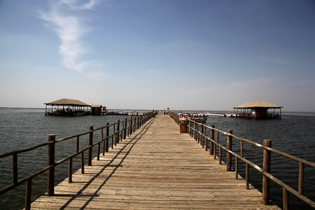 Lake island boardwalk