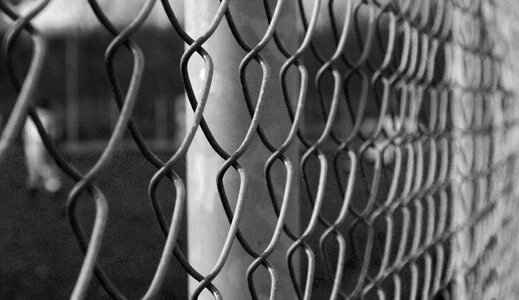 Fence black and white trap