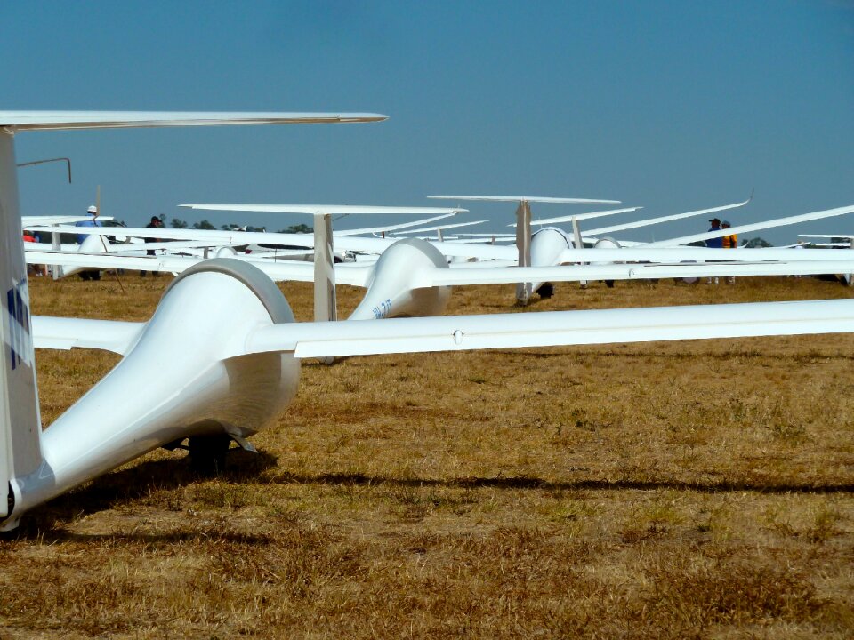 Lineup sailplanes tarmac