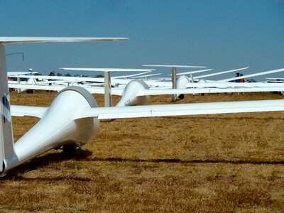 Lineup sailplanes tarmac