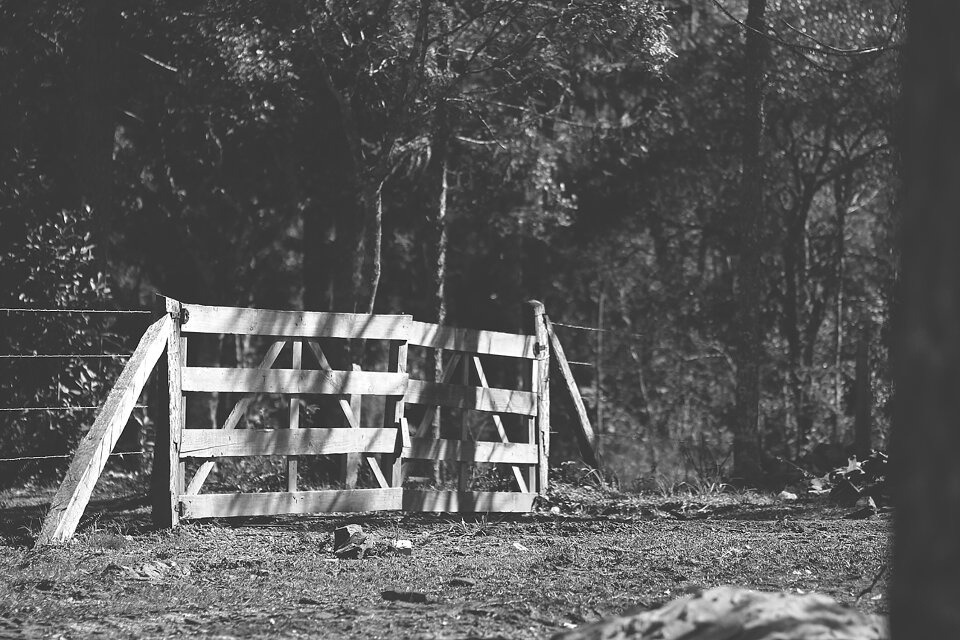 Concierge farm Free photos