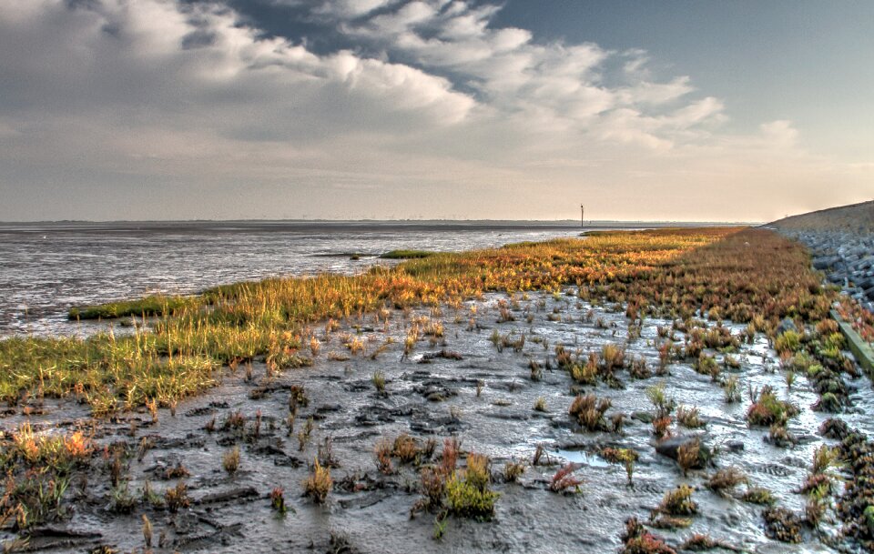 Autumn hdr landscape
