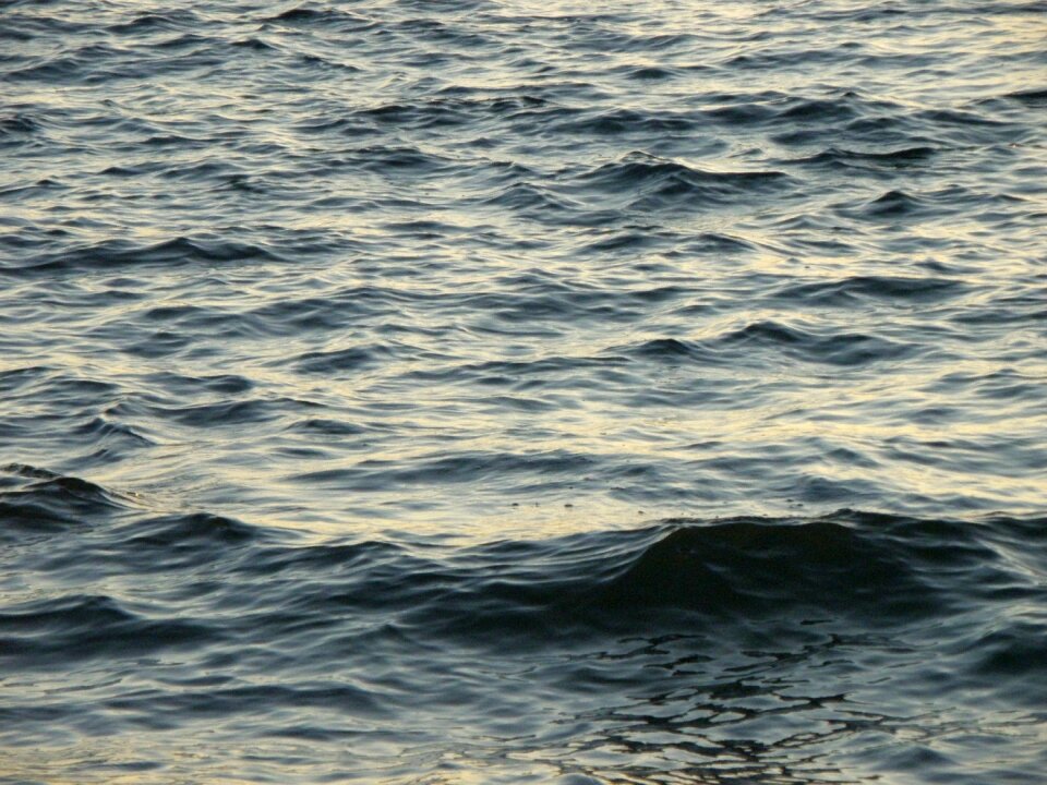 Surface sea lake photo