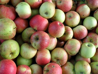 Harvest green red