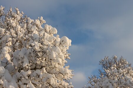 Winter sky cold photo