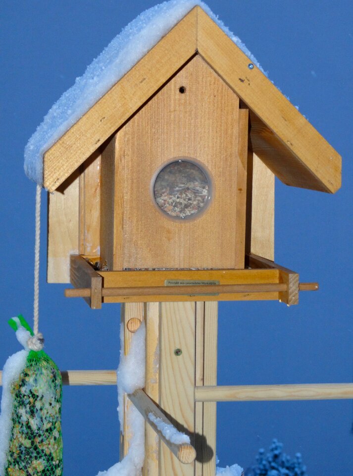 Bird seed bird food winter