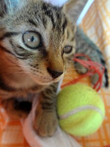 Household small fresh cute