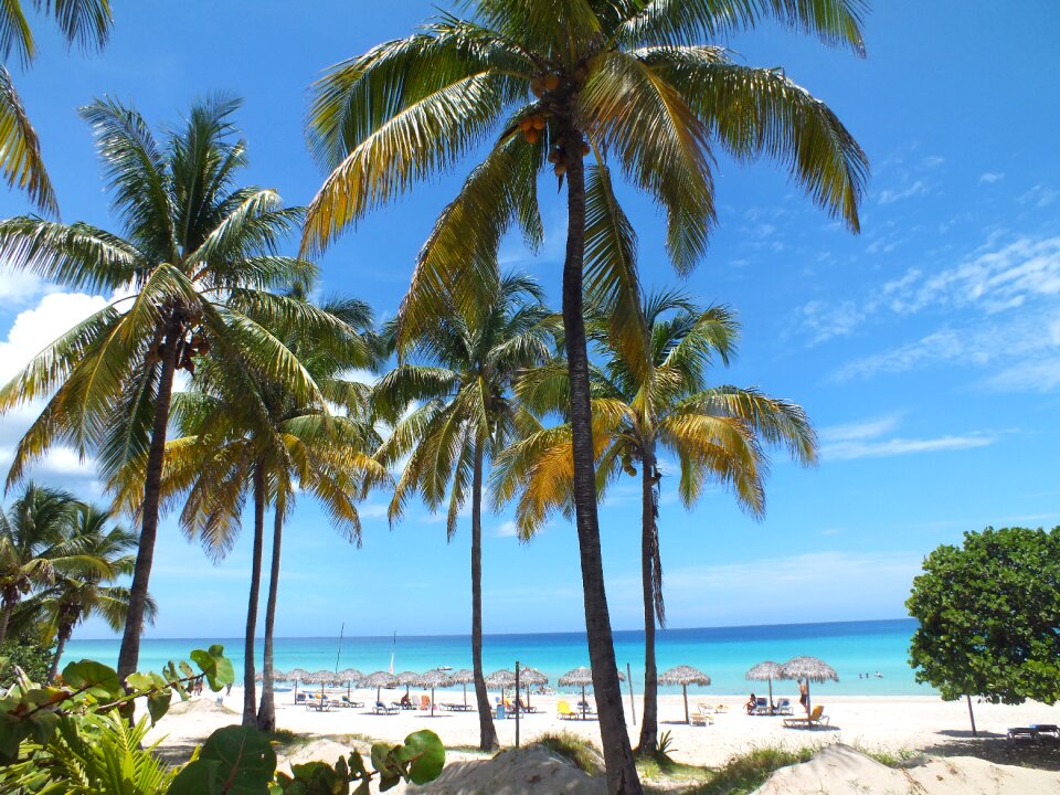 Sand sea varadero photo